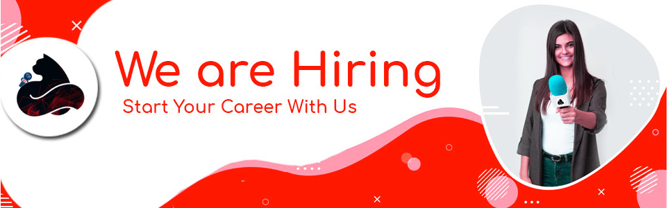Black Cat News Network Recruitment